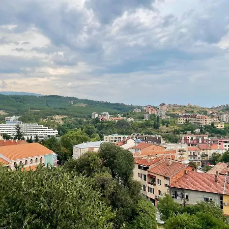The View