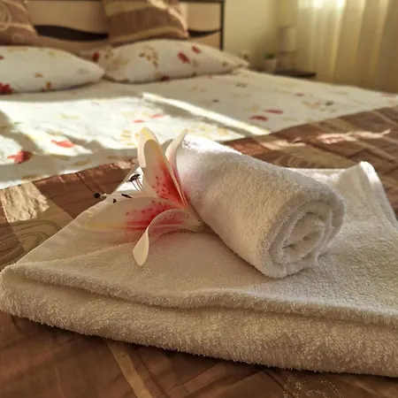 Апартаменты The View