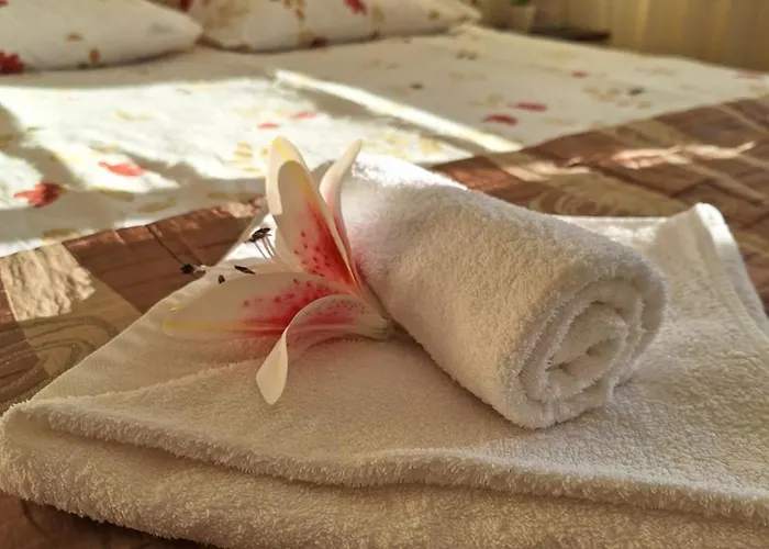 Appartement The View